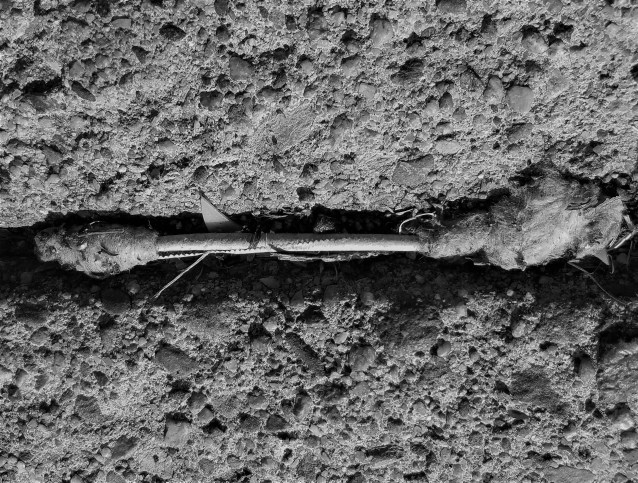 crevice-tip-cropped
