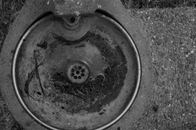 gnarly-fountain-nilla-hundred